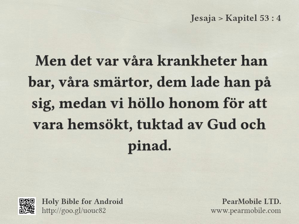 Jesaja, Kapitel 53:4